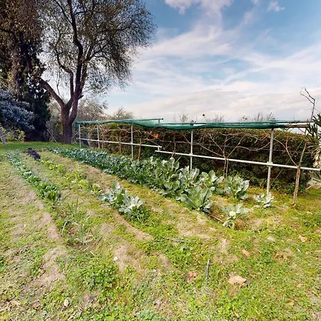 Primavera Villa
